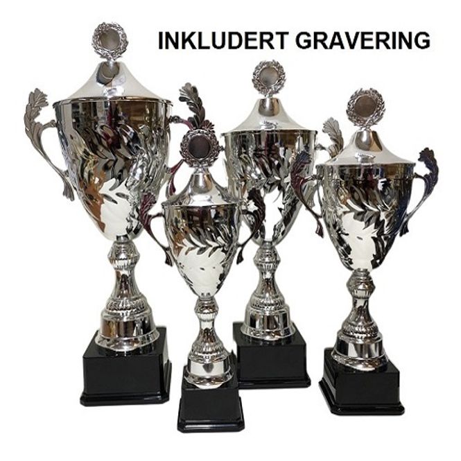 Hovedbilde Poker pokal lux